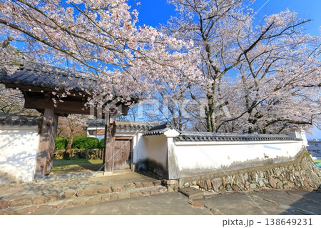 【兵庫県】満開の桜と龍野城の西門 【兵庫県】満開の桜と龍野城の西門 138649231