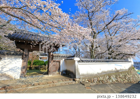 【兵庫県】満開の桜と龍野城の西門 【兵庫県】満開の桜と龍野城の西門 138649232