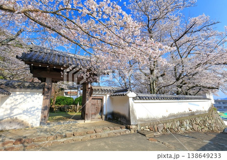 【兵庫県】満開の桜と龍野城の西門 138649233