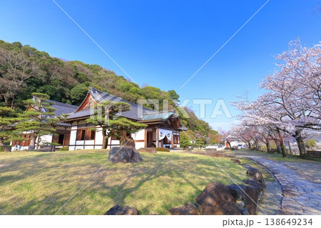 【兵庫県】満開の桜と龍野城の本丸御殿 138649234
