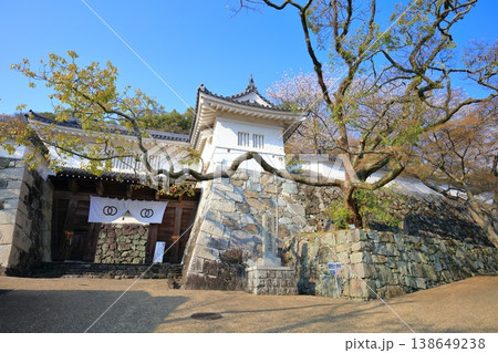 【兵庫県】満開の桜と龍野城の埋門 138649238