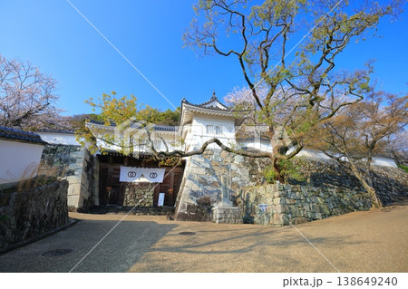 【兵庫県】満開の桜と龍野城の埋門 138649240