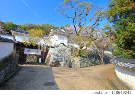 【兵庫県】満開の桜と龍野城の埋門 138649242