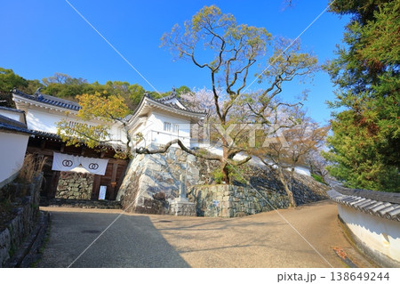 【兵庫県】満開の桜と龍野城の埋門 138649244