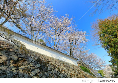 【兵庫県】満開の桜と龍野城 138649245