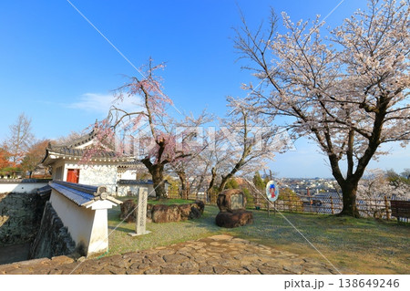 【兵庫県】満開の桜と龍野城の埋門と龍野市街 【兵庫県】満開の桜と龍野城の埋門と龍野市街 138649246