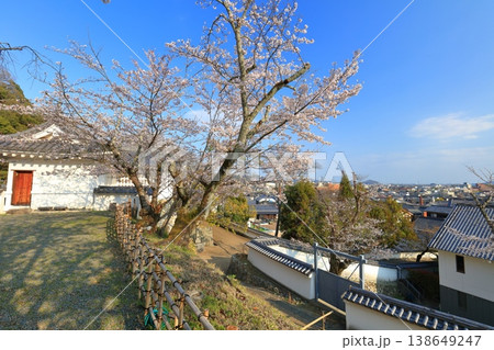 【兵庫県】満開の桜と龍野城の埋門と龍野市街 138649247