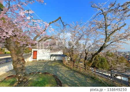 【兵庫県】満開の桜と龍野城の埋門と龍野市街 138649250