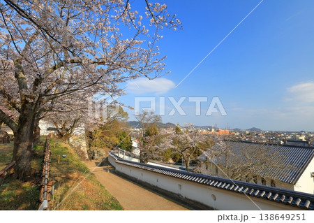 【兵庫県】満開の桜と龍野城の埋門と龍野市街 138649251