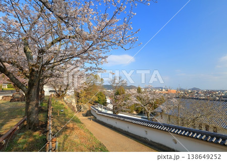 【兵庫県】満開の桜と龍野城の埋門と龍野市街 138649252