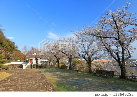 【兵庫県】満開の桜と龍野城の埋門と龍野市街 138649253
