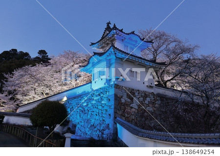 【兵庫県】満開の夜桜と龍野城の隅櫓 【兵庫県】満開の夜桜と龍野城の隅櫓 138649254