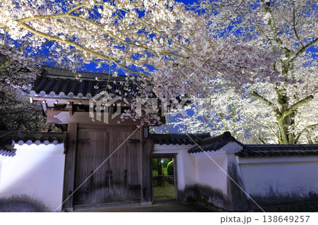 【兵庫県】満開の夜桜と龍野城の西門 138649257