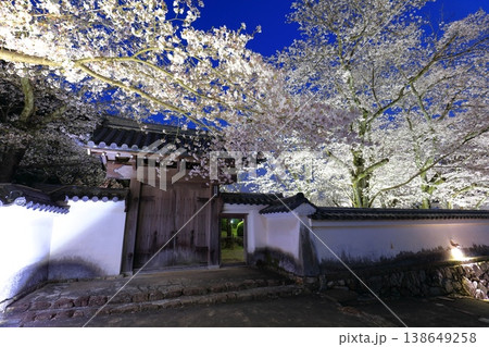 【兵庫県】満開の夜桜と龍野城の西門 【兵庫県】満開の夜桜と龍野城の西門 138649258