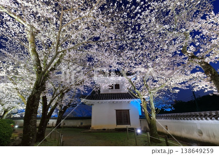 【兵庫県】満開の夜桜と龍野城の隅櫓 【兵庫県】満開の夜桜と龍野城の隅櫓 138649259