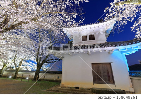 【兵庫県】満開の夜桜と龍野城の隅櫓 【兵庫県】満開の夜桜と龍野城の隅櫓 138649261