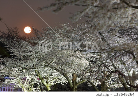 【兵庫県】龍野城の満開の夜桜と満月 138649264