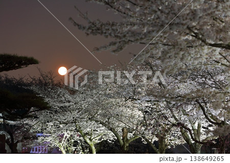 【兵庫県】龍野城の満開の夜桜と満月 138649265
