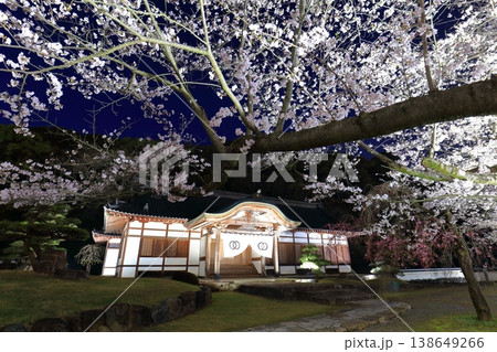 【兵庫県】満開の夜桜と龍野城の本丸御殿 138649266
