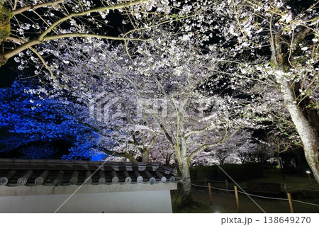 【兵庫県】満開の夜桜と龍野城 【兵庫県】満開の夜桜と龍野城 138649270