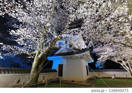 【兵庫県】満開の夜桜と龍野城の隅櫓 138649271