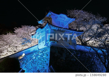 【兵庫県】満開の夜桜と龍野城の隅櫓 138649280