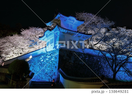 【兵庫県】満開の夜桜と龍野城の隅櫓 138649281