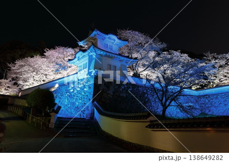 【兵庫県】満開の夜桜と龍野城の隅櫓 【兵庫県】満開の夜桜と龍野城の隅櫓 138649282