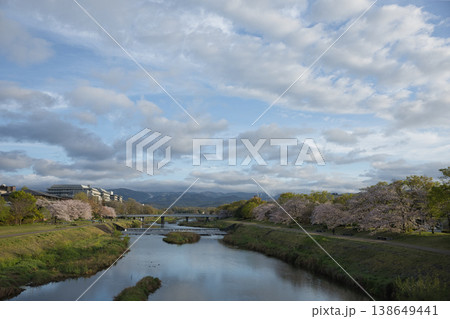 丸太町橋から望む鴨川と河川敷と満開の桜2 138649441