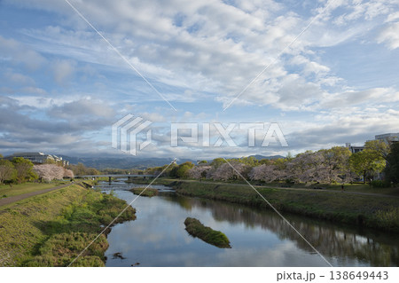 丸太町橋から望む鴨川と河川敷と満開の桜4 138649443
