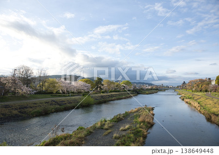 丸太町橋から望む鴨川と河川敷と満開の桜9 138649448