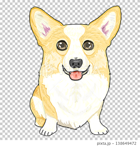 Corgi 138649472