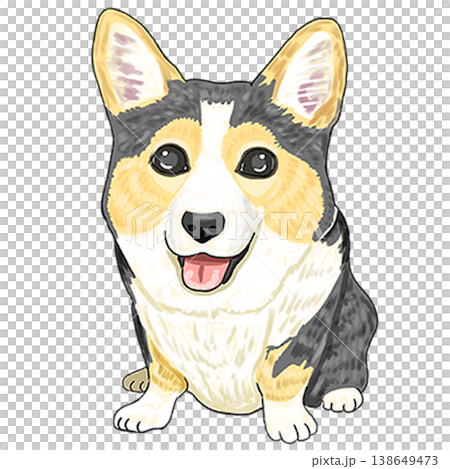 Corgi Tricolor Corgi Tricolor 138649473