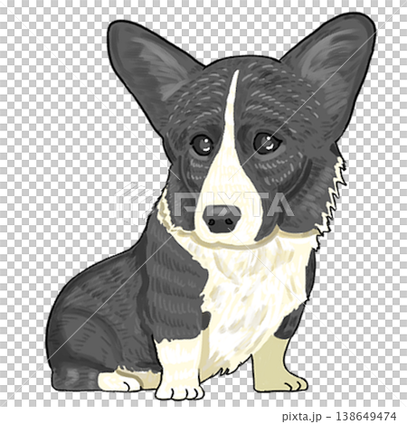 Corgi (black) 138649474