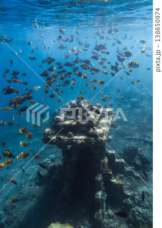 Large school of tropical fish swimming around an underwater temple in clear blue ocean Large school of tropical fish swimming around an underwater temple in clear blue ocean 138650974