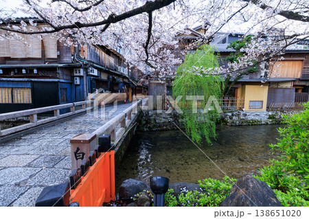 京都祇園白川の巽橋と満開の桜 (京都府京都市東山区) 京都祇園白川の巽橋と満開の桜 (京都府京都市東山区) 138651020