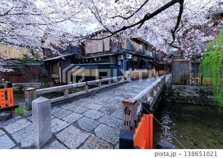 京都祇園白川の巽橋と満開の桜 (京都府京都市東山区) 138651021