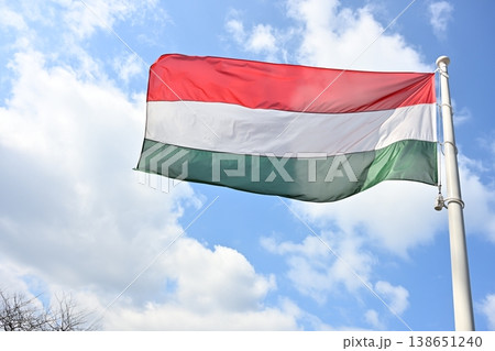 Hungarian Flag Waving Hungarian Flag Waving 138651240