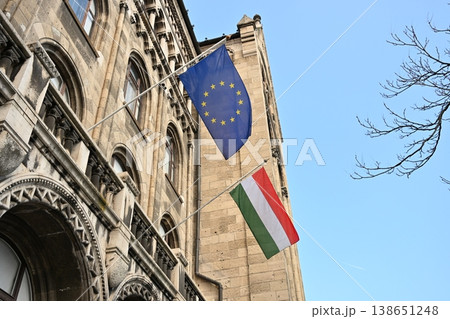 EU Flag and Hungarian Flag EU Flag and Hungarian Flag 138651248