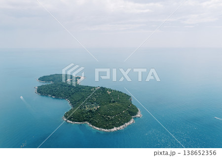 Tropical Island With Vibrant Nature. Scenic Aerial Snapshot Of Lush Island Haven Tropical Island With Vibrant Nature. Scenic Aerial Snapshot Of Lush Island Haven 138652356
