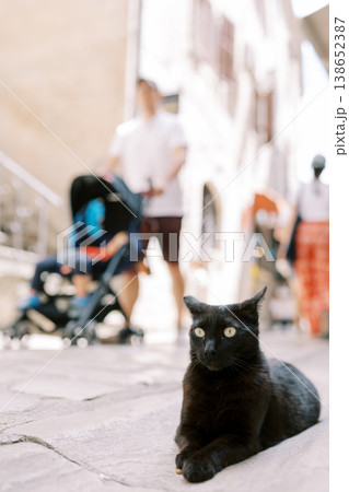 Charming Street With Relaxed Vibe. Peaceful Urban Setting Featuring Cat And Strolling Visitors 138652387