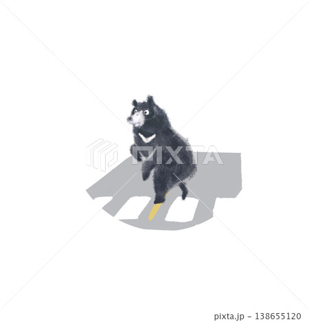 横断歩道を渡るクマのイラスト（野生動物・道路シーン・遭遇） 138655120
