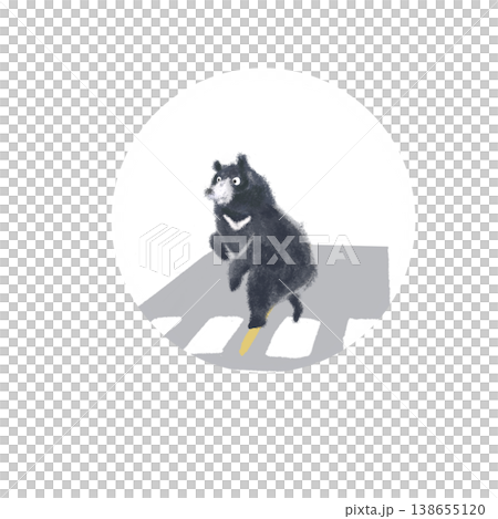 Illustration of a bear crossing a pedestrian crossing (wild animal, road scene, encounter) 138655120