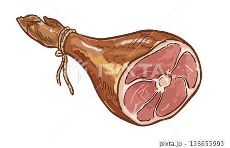 Jamon. Spanish delicacy, dry-cured pork ham leg. Vector isolated illustration 138655993