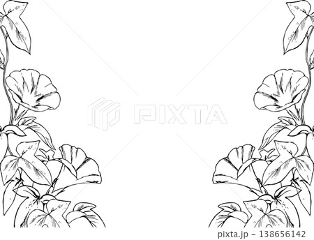 朝顔の線画フレーム 138656142
