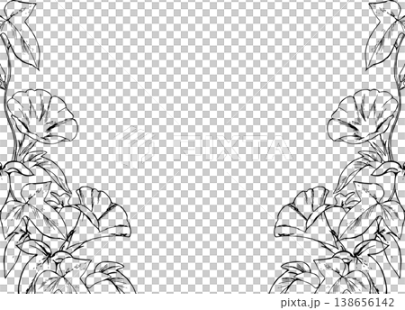朝顔の線画フレーム 138656142