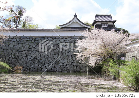 福岡市舞鶴公園の福岡城址潮見櫓 福岡市舞鶴公園の福岡城址潮見櫓 138656725