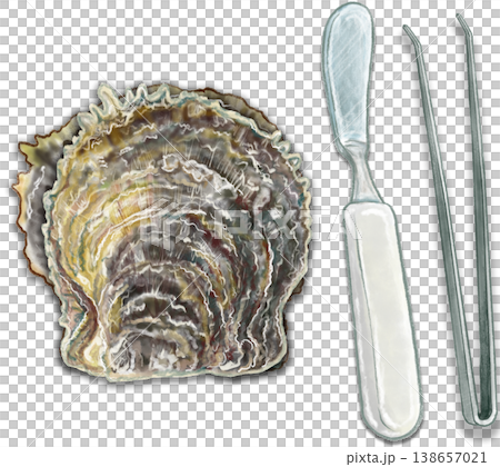 珍珠採集經驗_1_珍珠貝_鑷子_刀 138657021