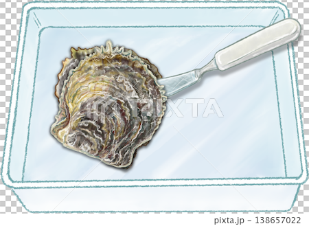 真珠採り体験_2_真珠貝をナイフでこじ開ける 138657022