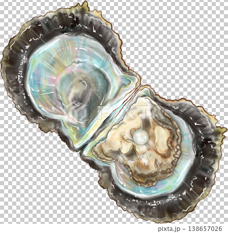 挖珍珠體驗_3_打開珍珠貝_可以看到貝殼裡的珍珠 挖珍珠體驗_3_打開珍珠貝_可以看到貝殼裡的珍珠 138657026
